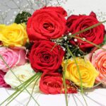 深紅中心のバラのブーケ